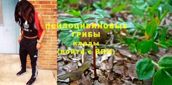 амф Арсеньев