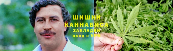 амф Арсеньев