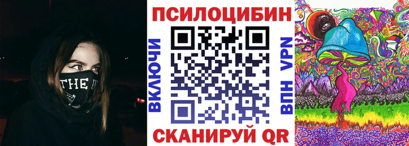 Псилоцибиновые грибы Psilocybine cubensis  Белгород 