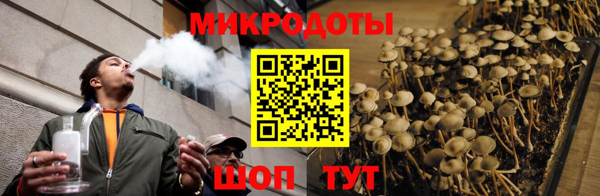 Галлюциногенные грибы прущие грибы  Вход с VPN  Галлюциногенные грибы мицелий  Белгород 
